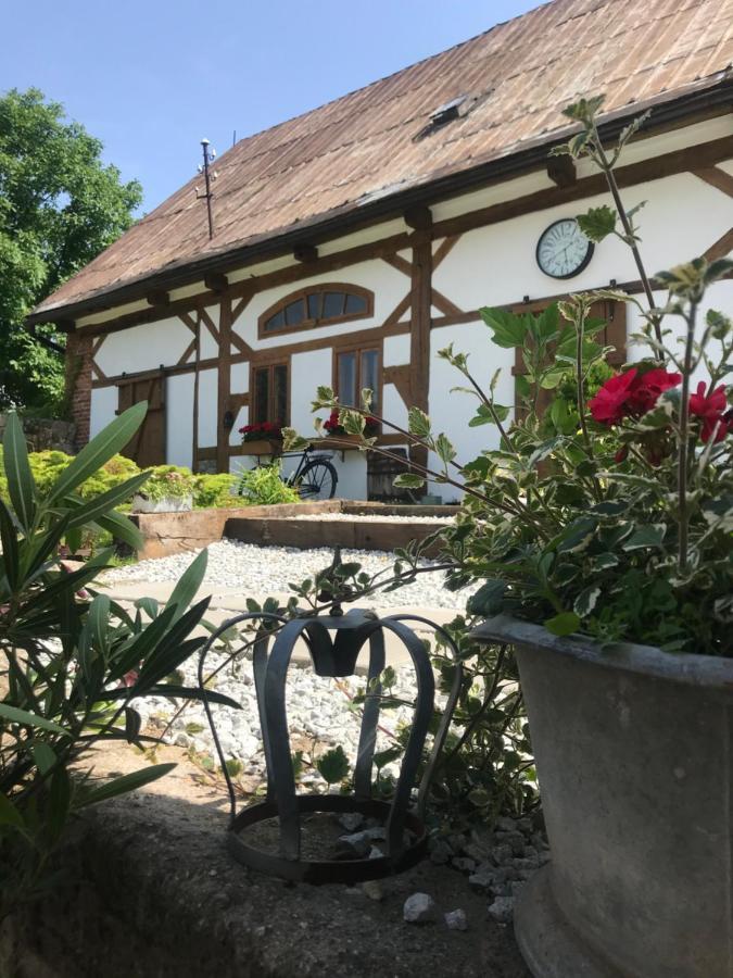 Apartamenty Sudeckie Nad Zalewem I Sosnówka Exterior foto